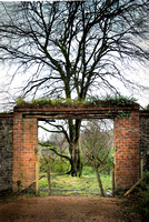 Kylemoor Abbey Garden Gate 2